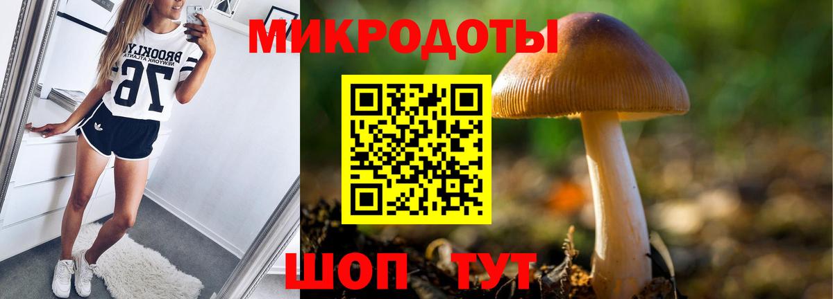 Галлюциногенные грибы мицелий  Вход с VPN  Троицк 